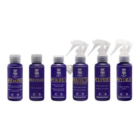 KIT MAINTENANCE CERAMIQUE 100ml KIT MAINTENANCE CERAMIQUE 100ml