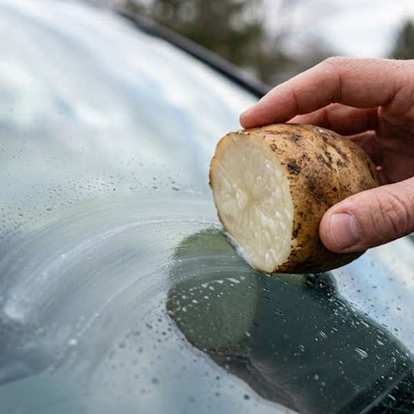 Pomme de terre nettoyage carrosserie ?