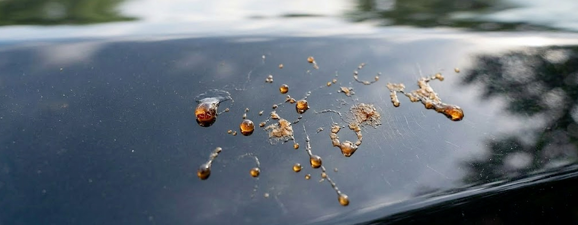 Photo taches seve sur carrosserie de voiture