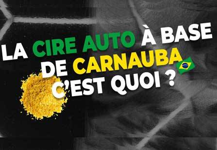 Les cires pour carrosserie à base de Carnauba : C’est quoi ? Les cires pour carrosserie à base de Carnauba : C’est quoi ?
